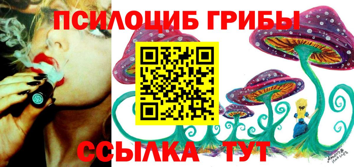 Галлюциногенные грибы Psilocybine cubensis  Вход с VPN  Россия 